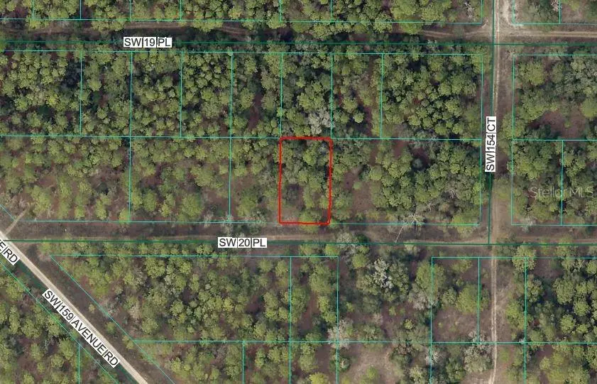 SW 20th Place, Ocala, FL 34481 - #2