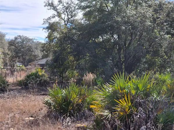 00 NE 78th Lane, BRONSON, FL 32621