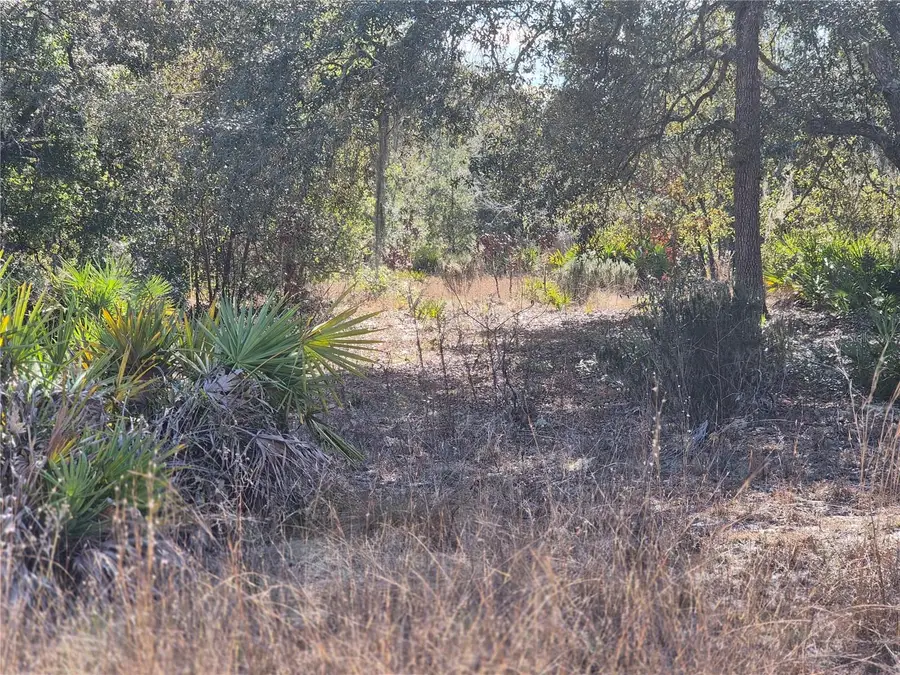 00 NE 78th Lane, Bronson, FL 32621 - #2