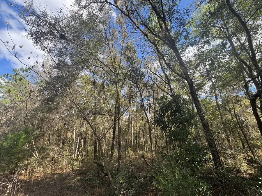 0000 NE 154th Avenue, Williston, FL 32696 - #2