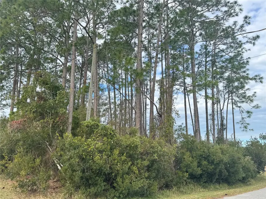 13 Lincoln Lane, Palm Coast, FL 32137 - Image #2