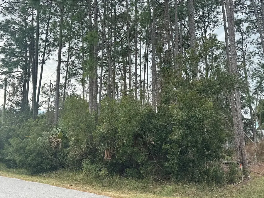 13 Lincoln Lane, Palm Coast, FL 32137 - Image #3