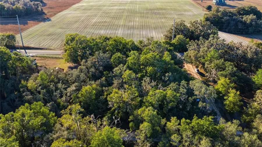 SW 139th Court, Dunnellon, FL 34432 - Image #3