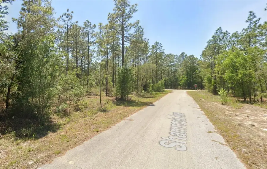 00 NW Shamrock Avenue, Dunnellon, FL 34431 - #2