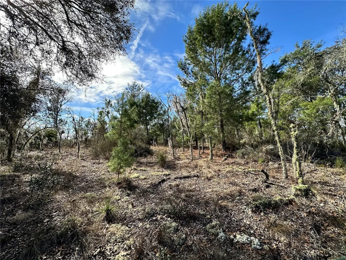 TBD NE 16th Lane, Williston, FL 32696 - #1