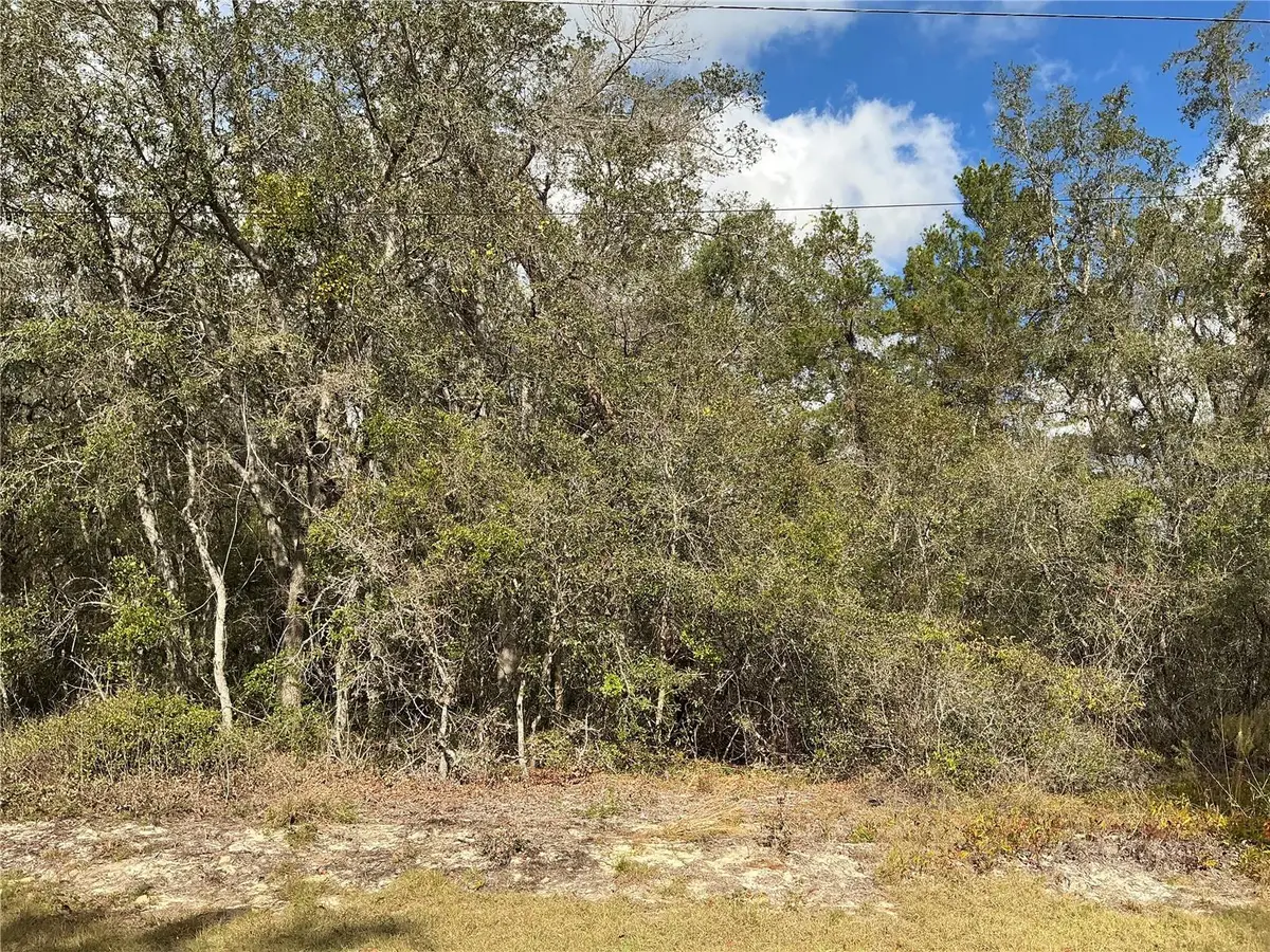 lot 8 Fisher Trace, Ocklawaha, FL 32179 - Image #1