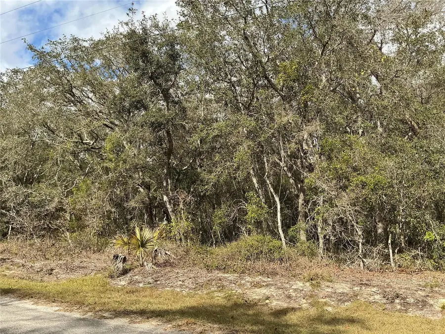 lot 8 Fisher Trace, Ocklawaha, FL 32179 - Image #3