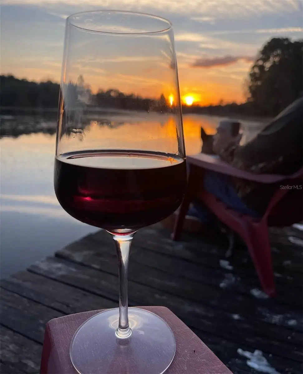 14730 SE 61st Street Road, Ocklawaha, FL 32179 - #1