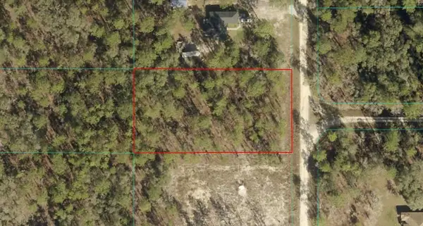 TBD LOT 106 SW 134th Avenue, DUNNELLON, FL 34432