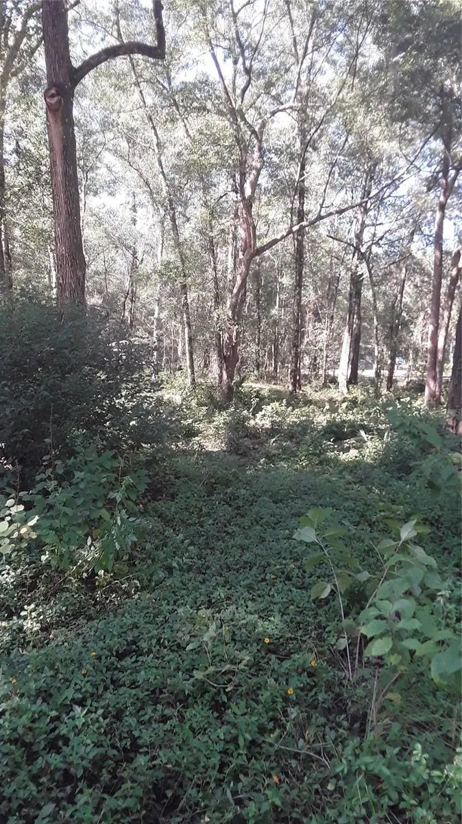 5314 Cucumber Street, Sebring, FL 33875 - Image #2