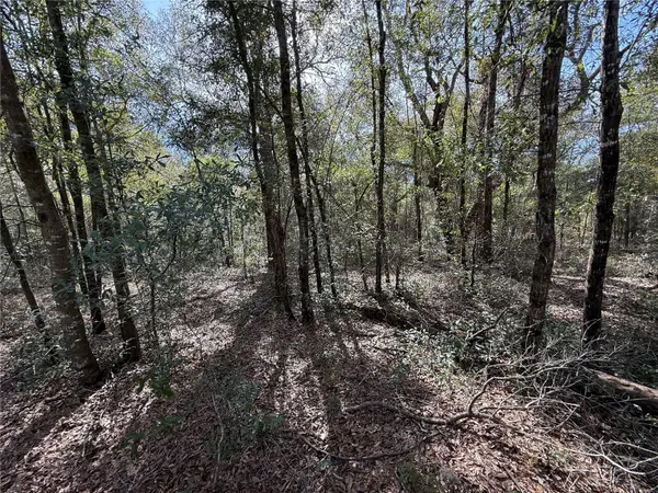 TBD NE 80th Street, BRONSON, FL 32621