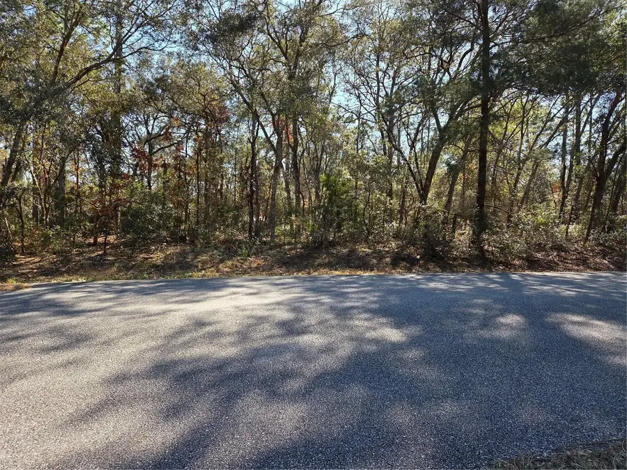 3686 W Parkview Drive, Dunnellon, FL 34433 - Image #2