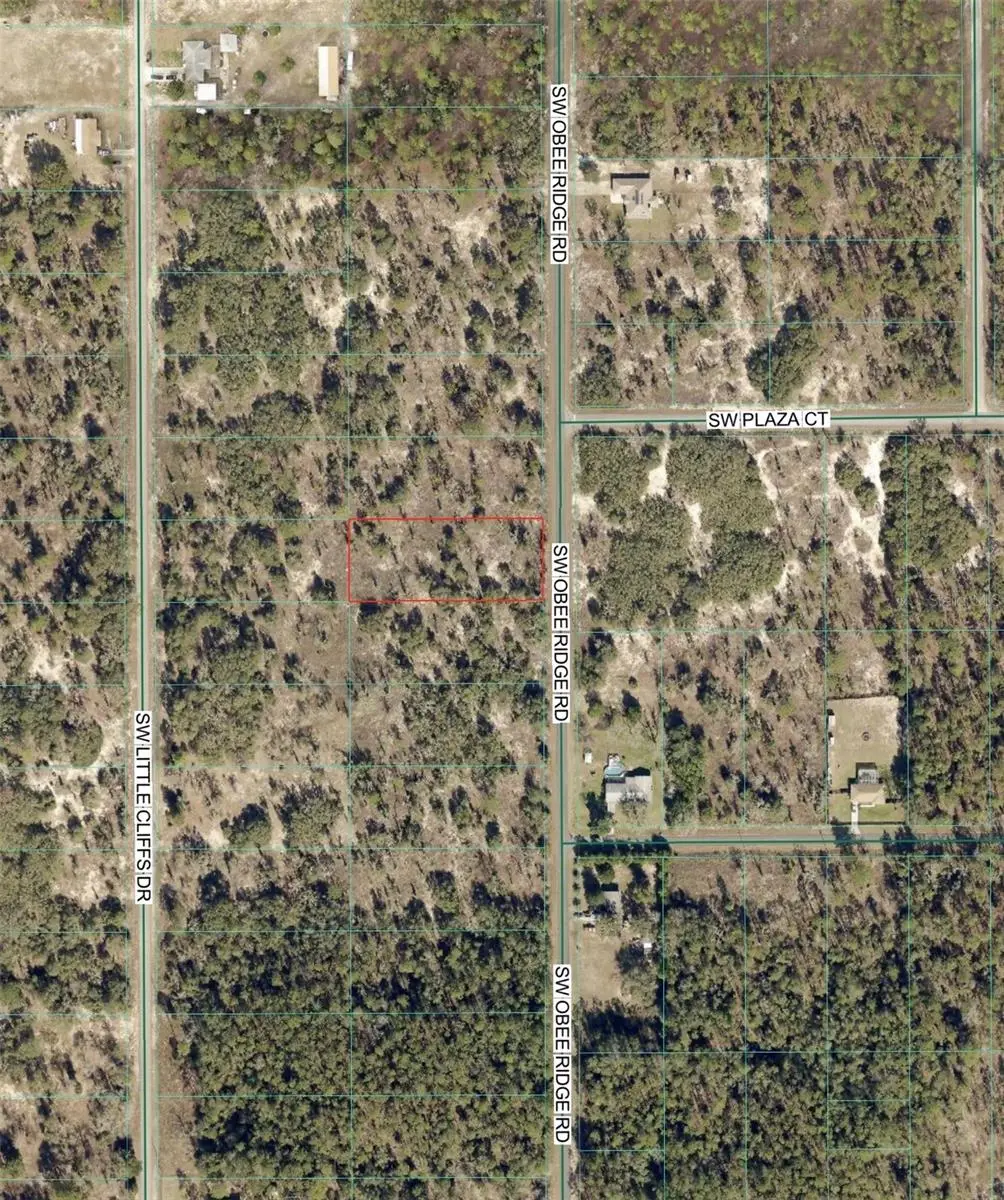 SW Obee Ridge Road, Dunnellon, FL 34431 - #1