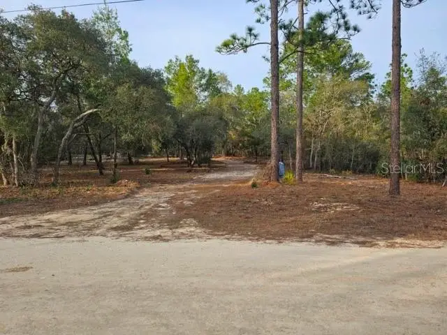 6341 W Stockholm Lane, Dunnellon, FL 34433 - #2