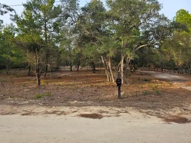 6341 W Stockholm Lane, Dunnellon, FL 34433 - #3