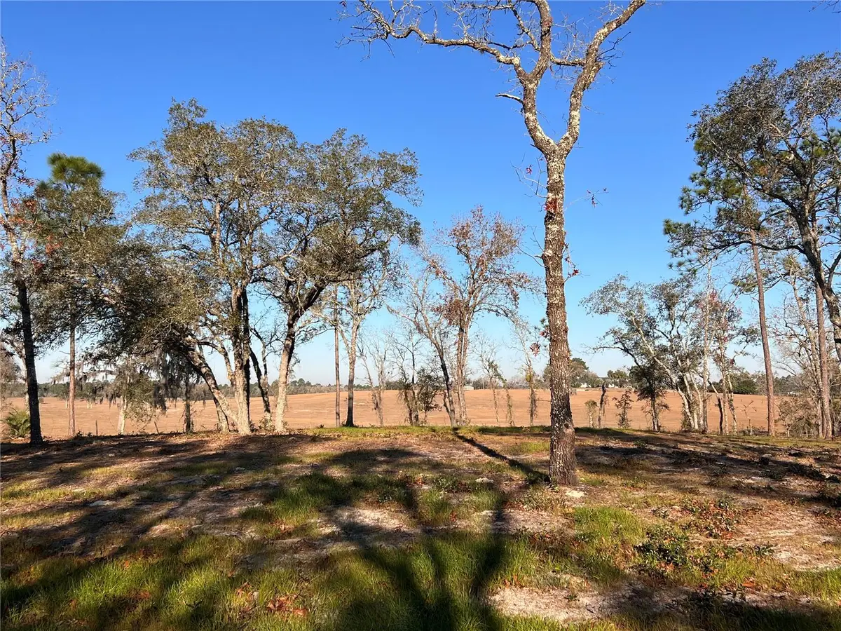 Lot 8 125th Court, Dunnellon, FL 34431 - Image #1