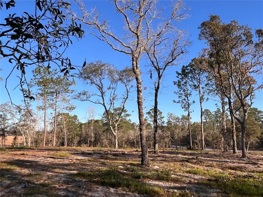 Lot 8 125th Court, Dunnellon, FL 34431 - Image #2