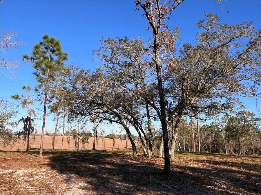 Lot 8 125th Court, Dunnellon, FL 34431 - Image #3