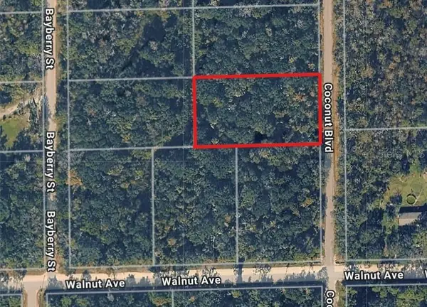 1872 Coconut Boulevard, BUNNELL, FL 32110