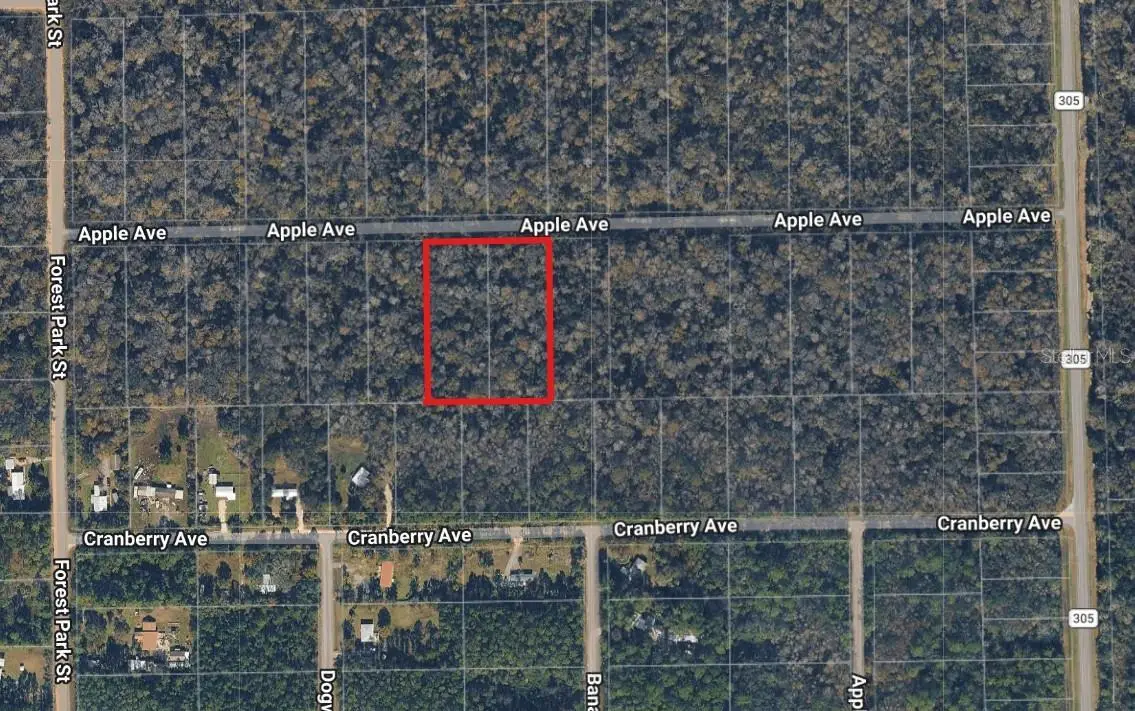 3767 & 3739 Apple Avenue, Bunnell, FL 32110 - #1