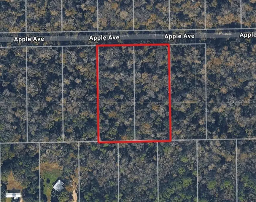 3767 & 3739 Apple Avenue, Bunnell, FL 32110 - #2