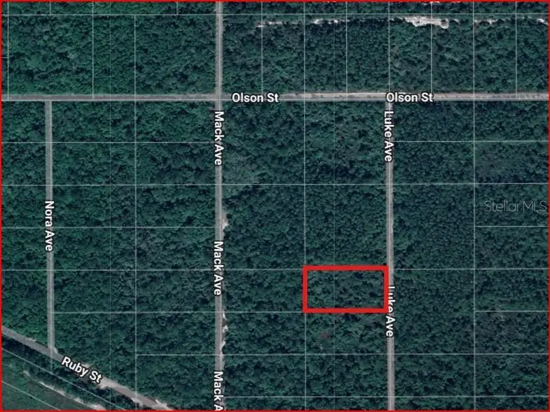 Lot 1069 Luke Avenue, Hastings, FL 32145 - #1