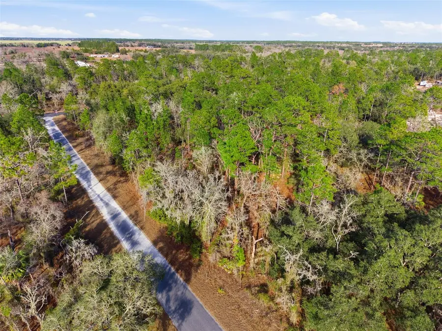 Lot 37 SE 126th Terrace, Dunnellon, FL 34431 - Image #3
