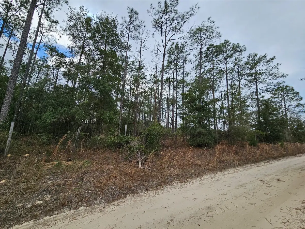 tbd NE 45th Street, Williston, FL 32696 - #1