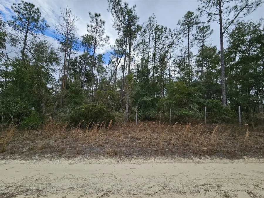 tbd NE 45th Street, Williston, FL 32696 - #2
