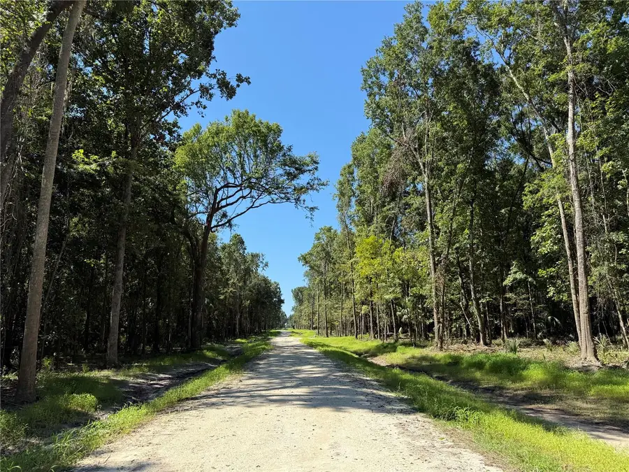 DR #3 (10ac) NW 193rd St, Micanopy, FL 32667 - #2