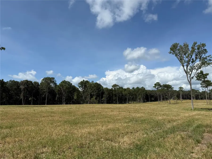DR #3 (10ac) NW 193rd St, Micanopy, FL 32667 - #3