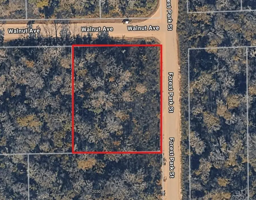 3977 Walnut Avenue, Bunnell, FL 32110 - #2