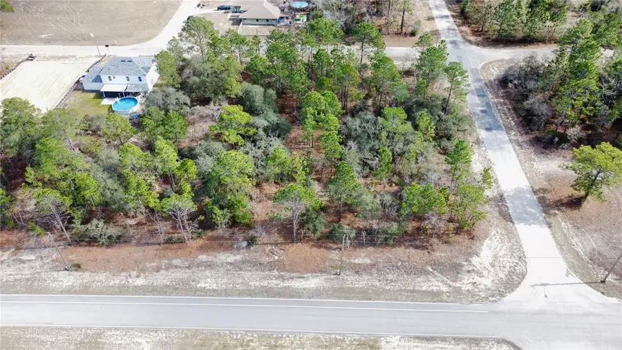 8951 N Citrus Springs Boulevard, Citrus Springs, FL 34433 - Image #2