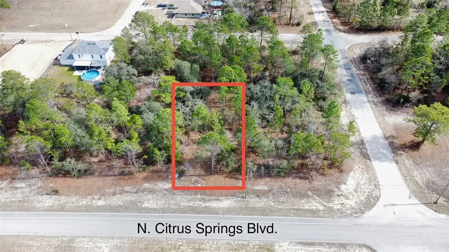8951 N Citrus Springs Boulevard, Citrus Springs, FL 34433 - Image #3
