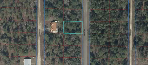 TBD NE 150 Avenue, WILLISTON, FL 32696