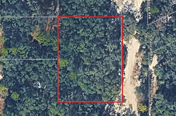 3754 S Pelican Avenue, INVERNESS, FL 34450