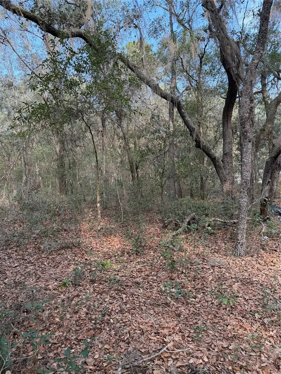 102 David Drive, Interlachen, FL 32148 - Image #1