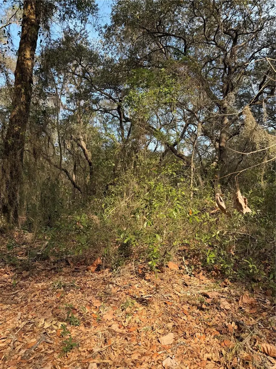 102 David Drive, Interlachen, FL 32148 - Image #2