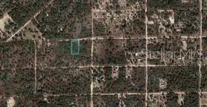 TBD NE 90th Street, BRONSON, FL 32621