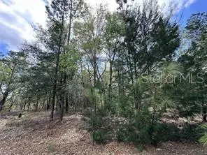 TBD NE 12th Lane, Williston, FL 32696 - Image #1