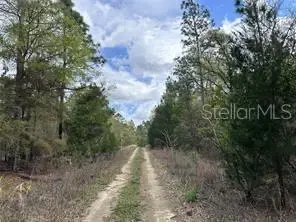 TBD NE 12th Lane, Williston, FL 32696 - Image #2