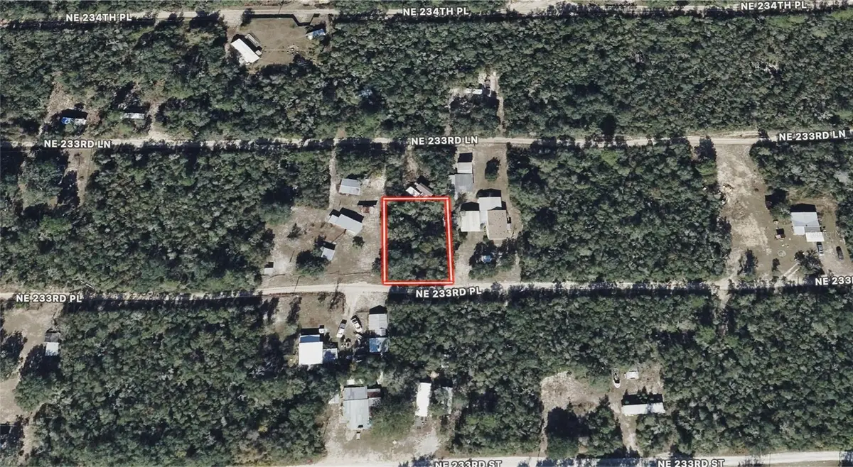 TBD NE 233rd Pl, Fort McCoy, FL 32134 - #1