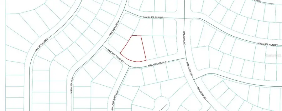 TBD Malauka Run Court, Ocklawaha, FL 32179 - #3