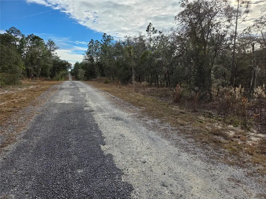0000 SE 128th Avenue, Dunnellon, FL 34431 - Image #2