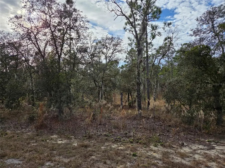 0000 SE 128th Avenue, Dunnellon, FL 34431 - Image #3