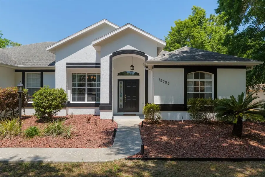 19395 SW 100th Loop, Dunnellon, FL 34432 - #3