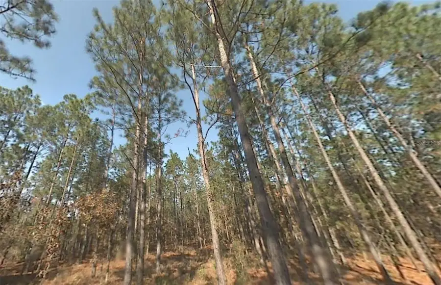 00 SW 39th Street, Dunnellon, FL 34432 - Image #3