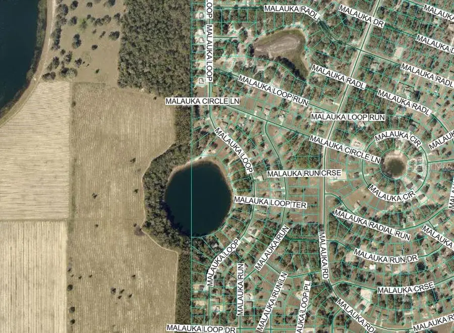 Malauka Run, Ocklawaha, FL 32179 - #3