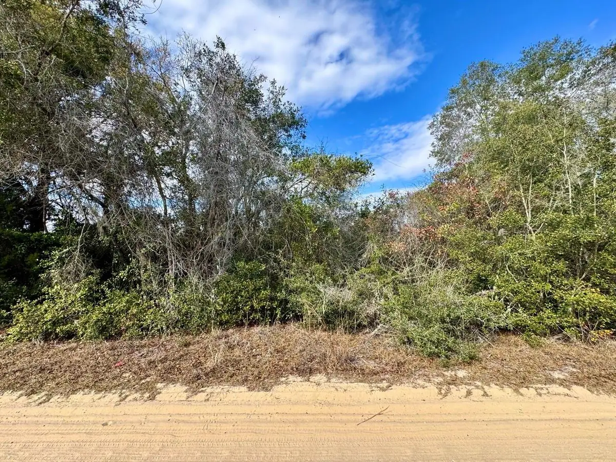 NE 235th Street, Fort McCoy, FL 32134 - #1