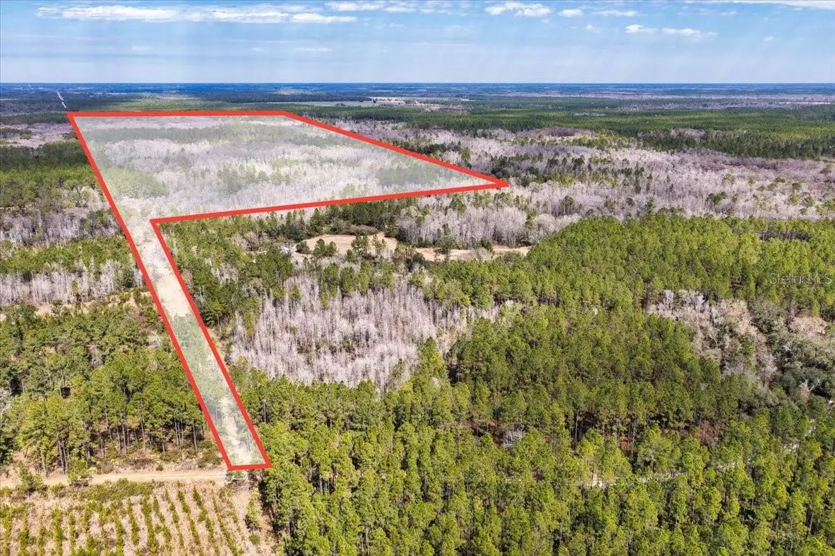 60 Acres NW Clyatt Road, Chiefland, FL 32626 - #1